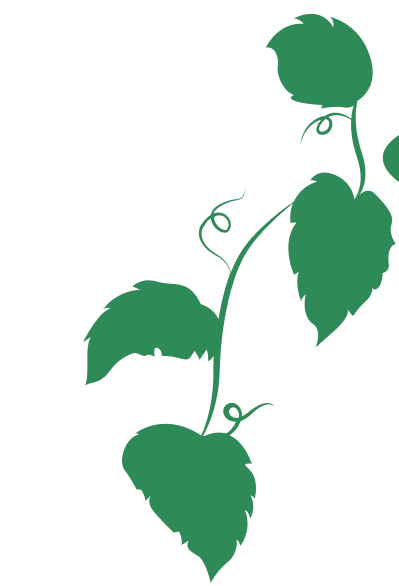 leaf content
